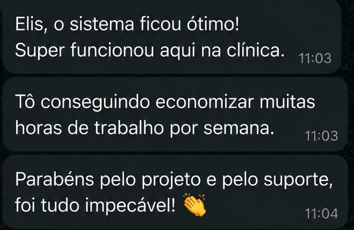Mensagem de um cliente sobre o sistema entregue funcionando